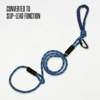 Massif 10MM Kernmantle Climbing Rope Dog Leash with D-Shaped Carabiner-4