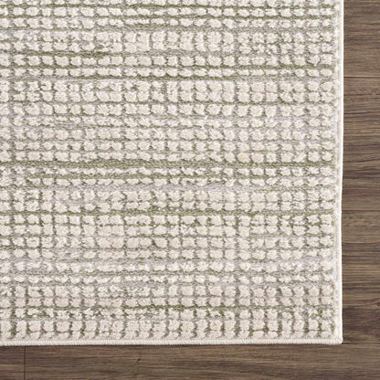 Albena Gray Area Rug-4