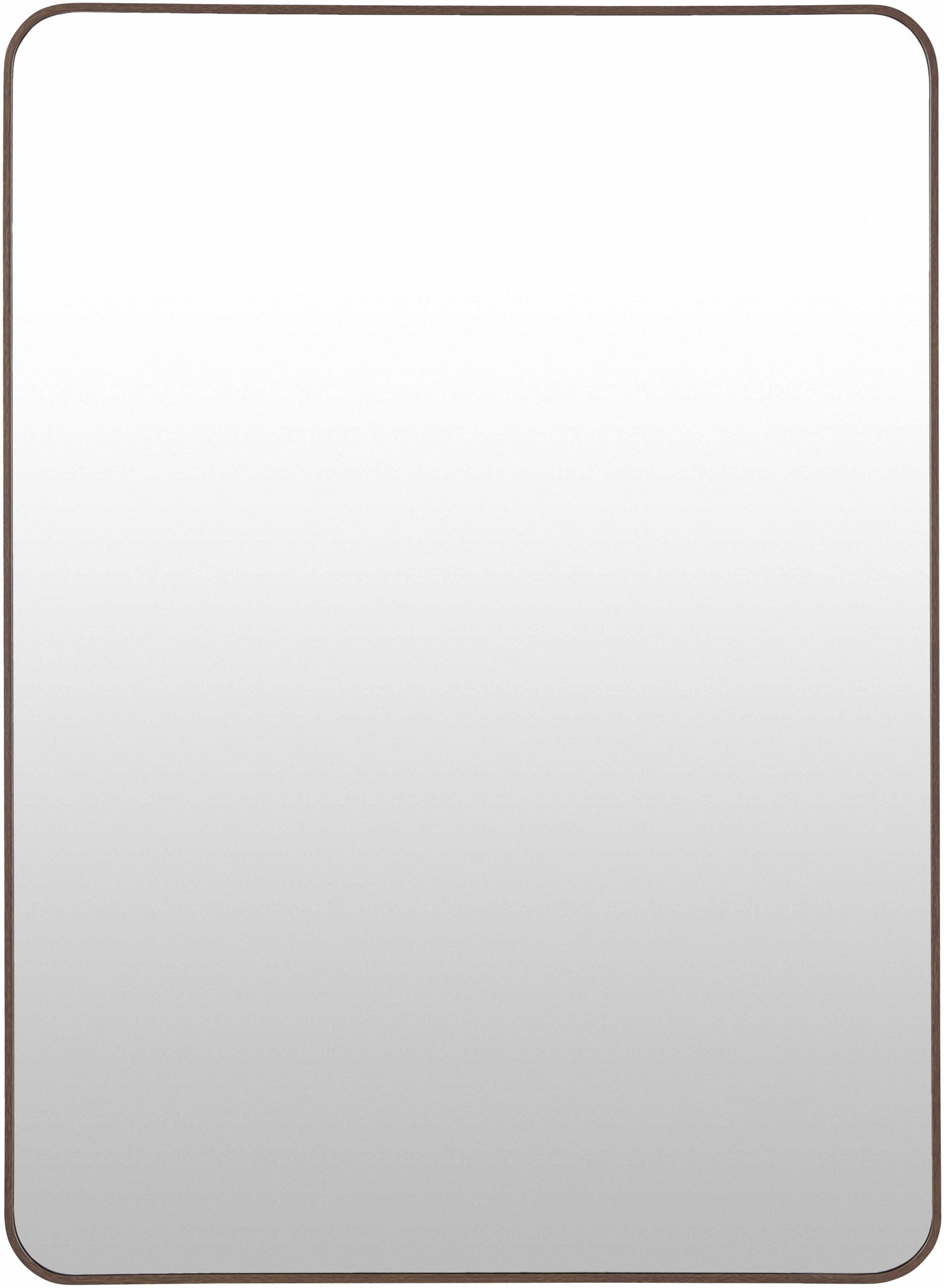 Sustinente Mirror-1
