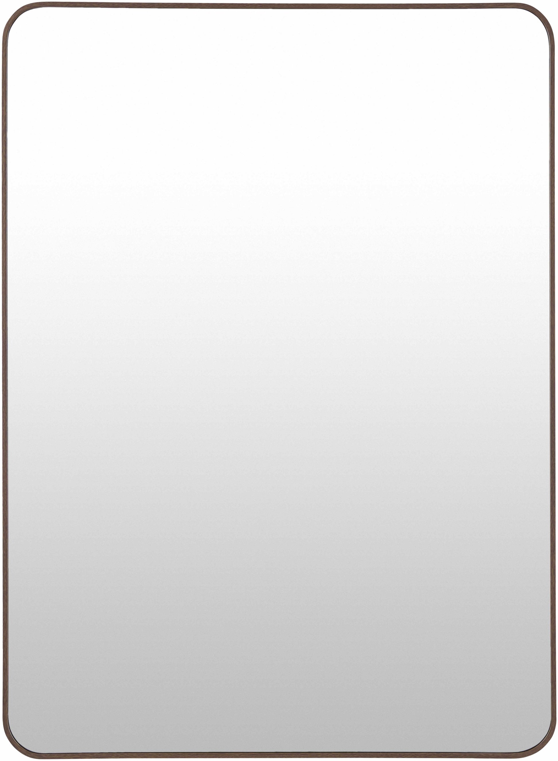 Sustinente Mirror-1