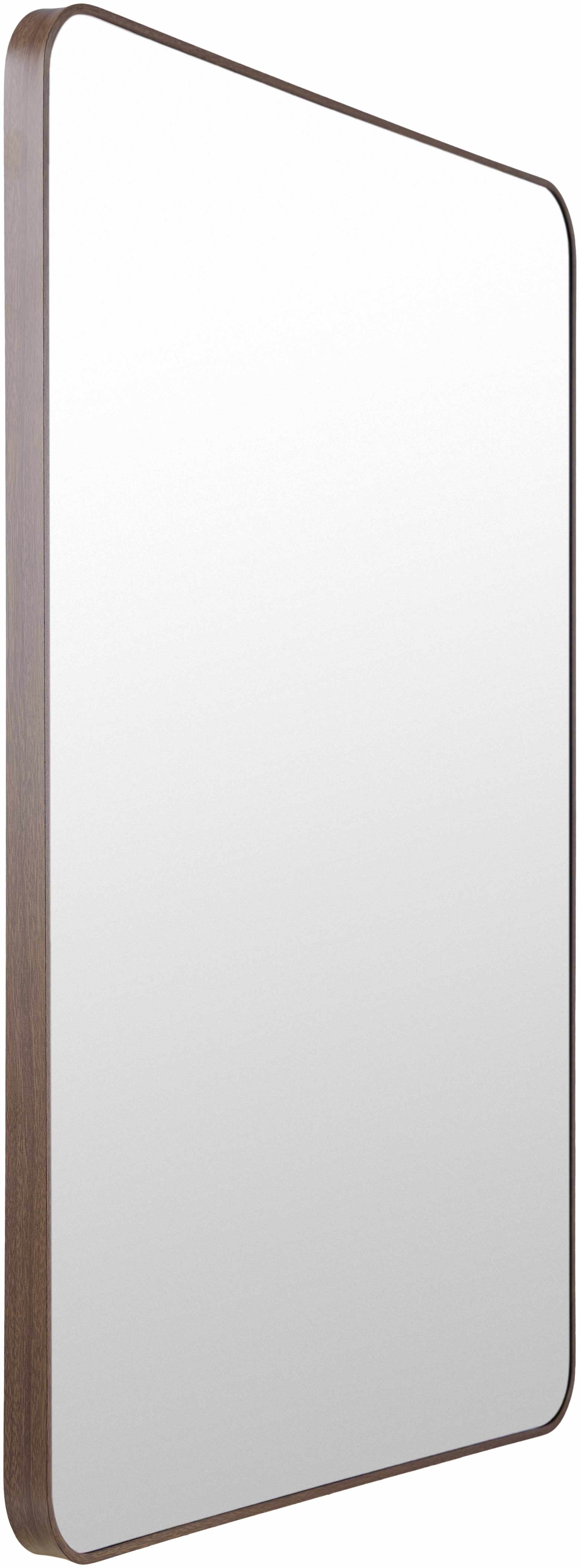 Sustinente Mirror-2