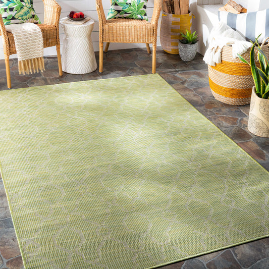 Dunedoo Flatweave Area Carpet - Clearance-0