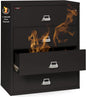 Lateral 4 Drawer Legal and Letter Fire Safe File Cabinet with Key Lock, 1 Hour Fire Rated, UL Rated & Water Resistant Home Safe, Filing Cabinet, Made in the USA, Black-0