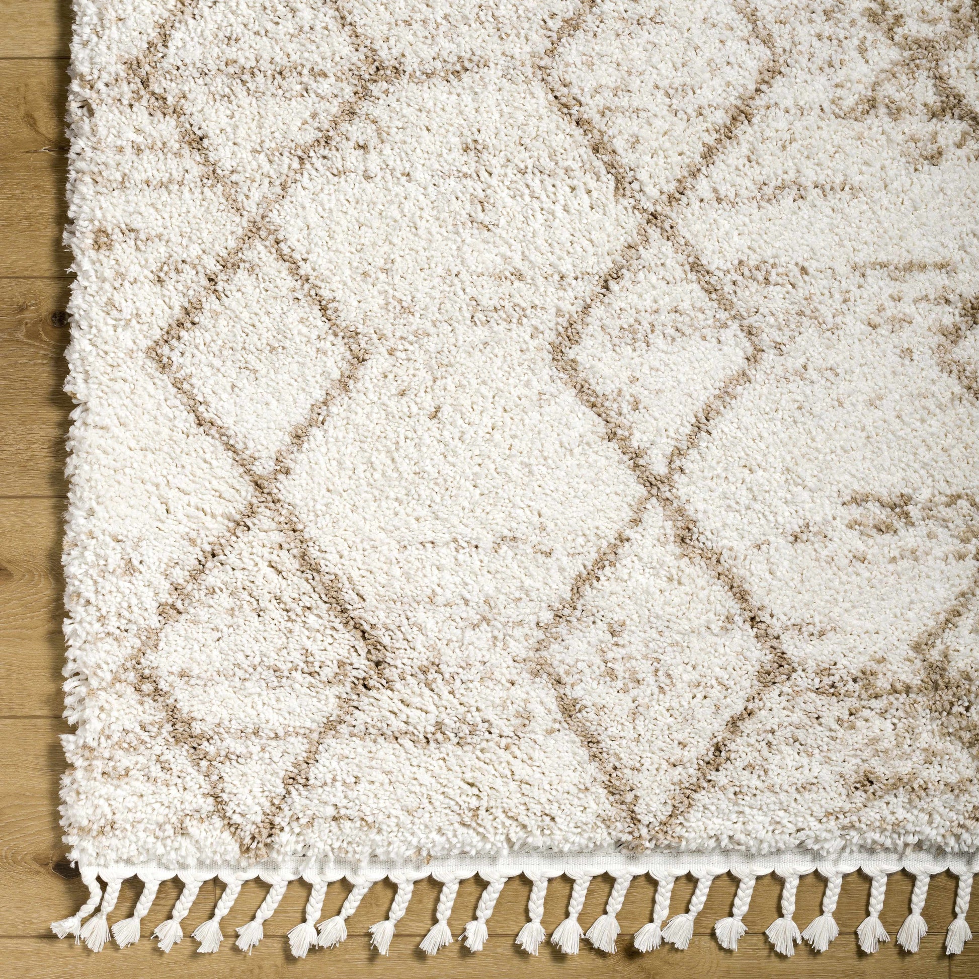 Ishan Cream Area Rug - Clearance-3