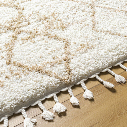 Ishan Cream Area Rug - Clearance-2